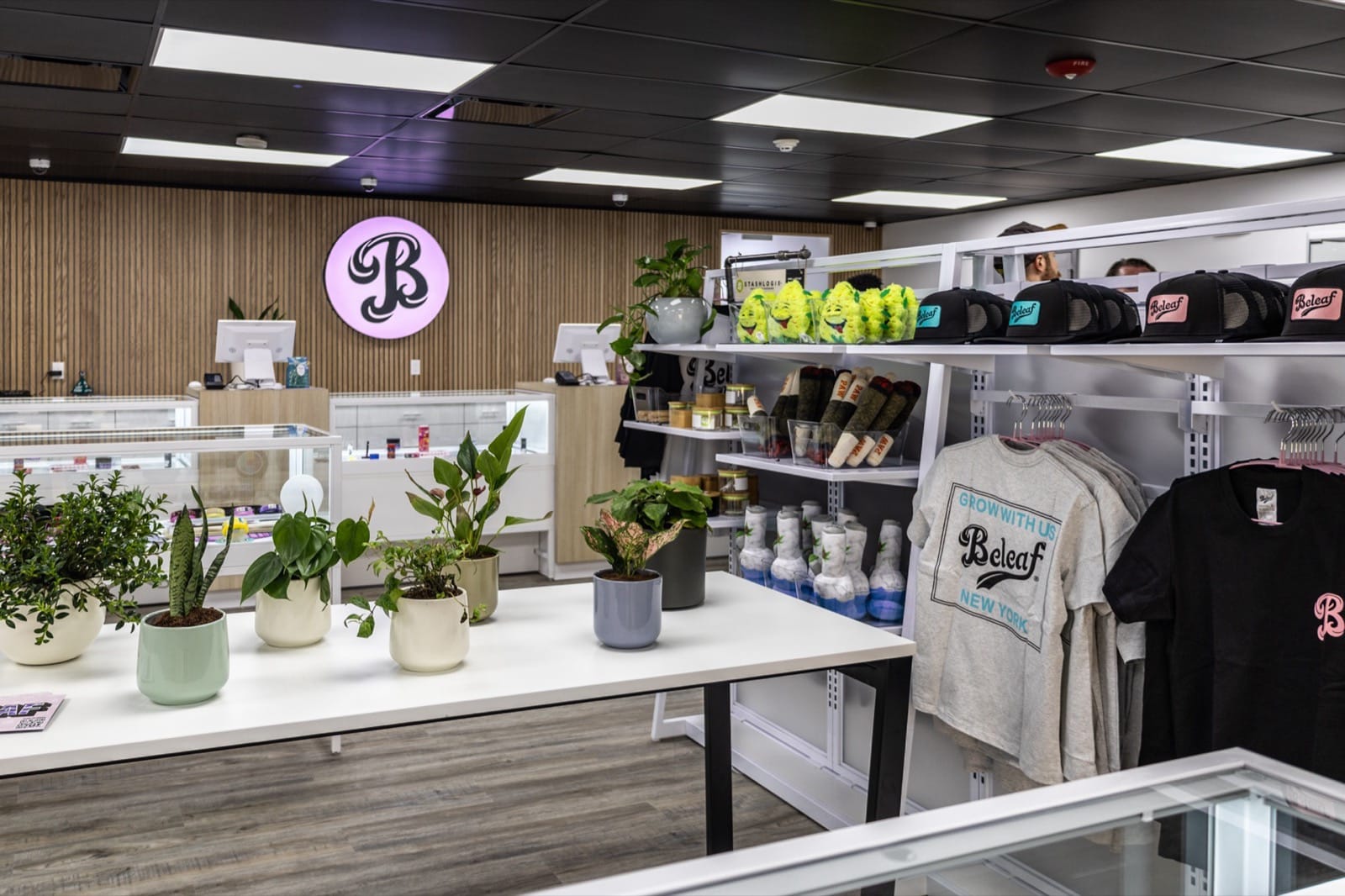 Inside Beleaf Calverton dispensary with merchandise, plants, and the signature B logo